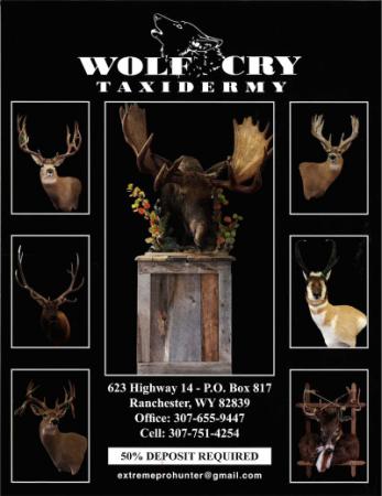 Wolf Cry Taxidermy